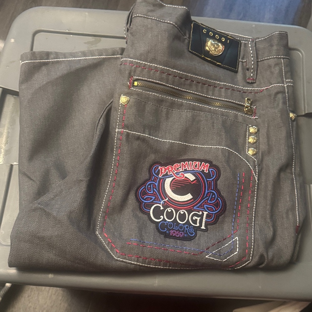 COOGI Dark Gray Men's Jeans with Embroidered Details
